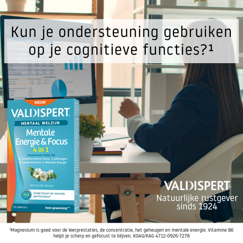 Mentale Energie & Focus 4-in-1