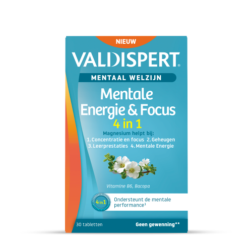 Mentale Energie & Focus 4-in-1