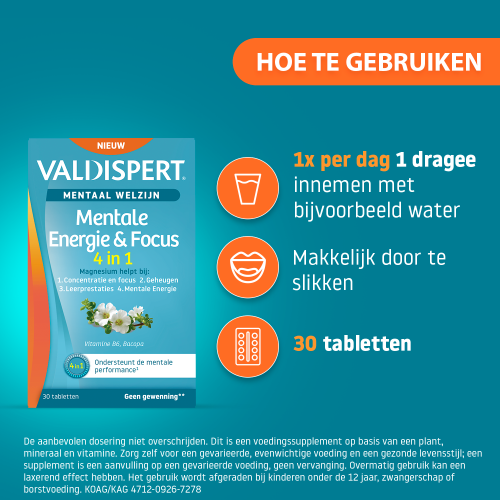 Mentale Energie & Focus 4-in-1
