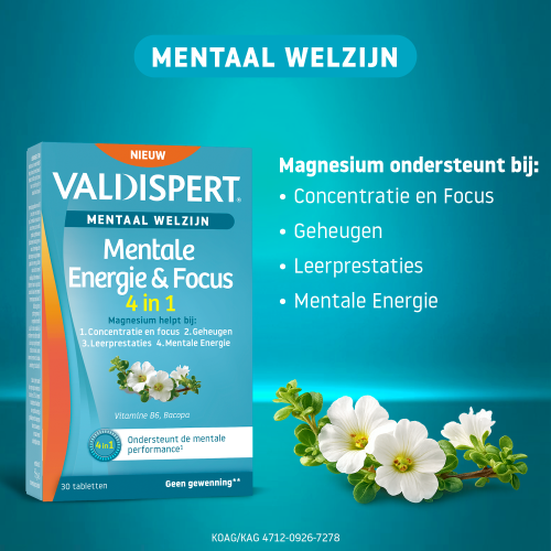 Mentale Energie & Focus 4-in-1