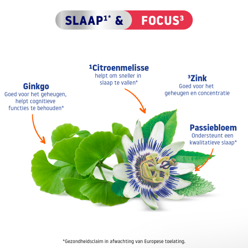 Slaap & Focus